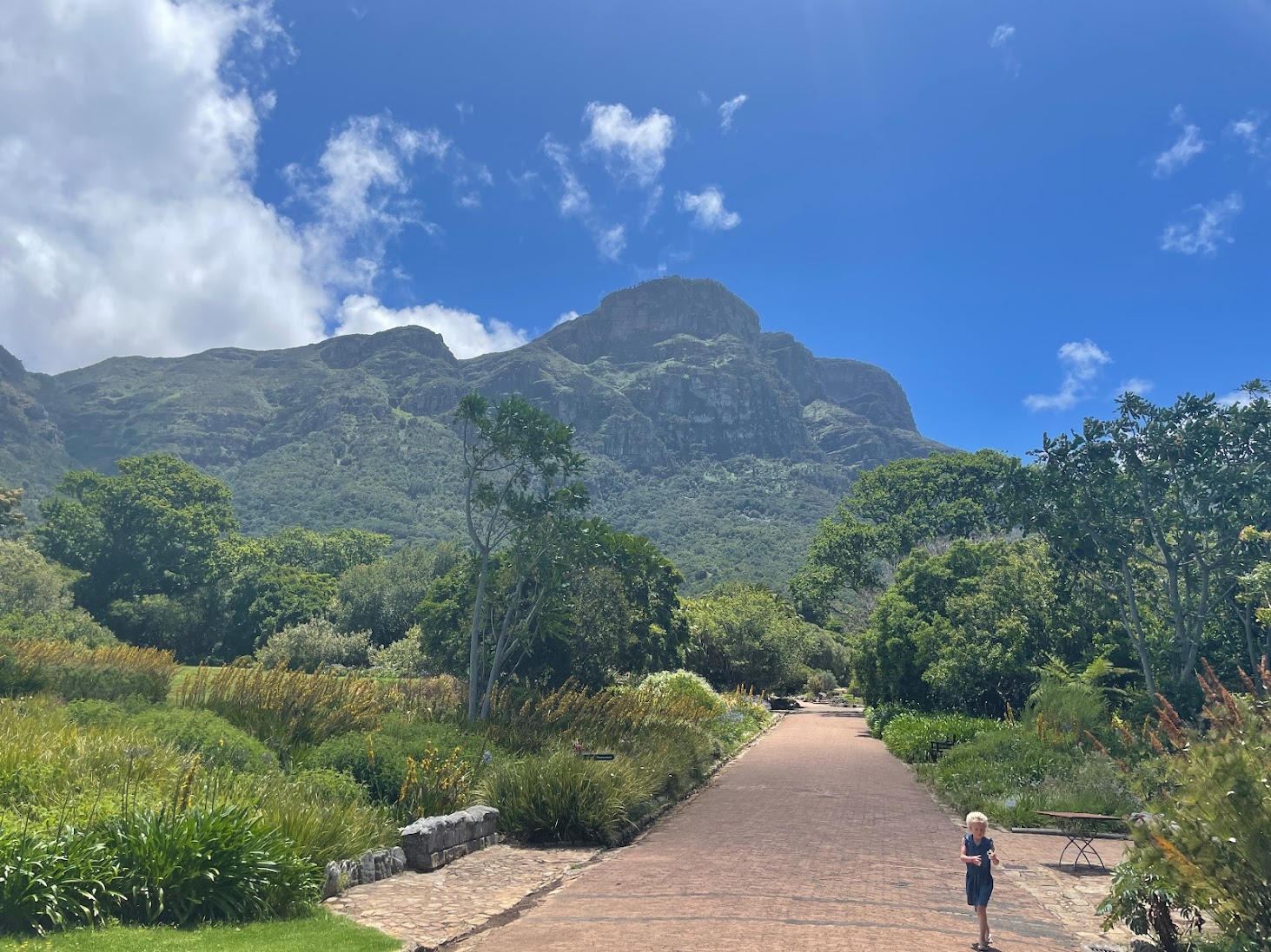 Kirstenbosch Botanical Garden