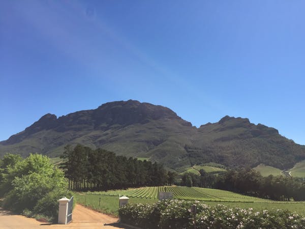 Stellenbosch