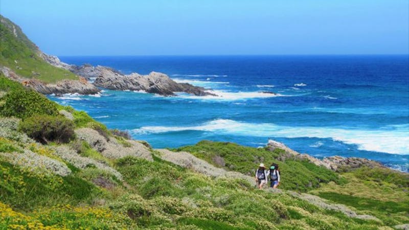 Tsitsikamma National Park