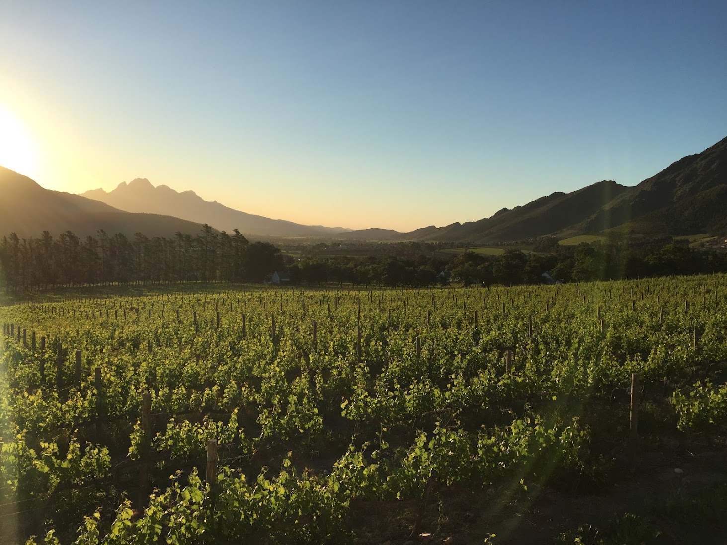 Franschhoek