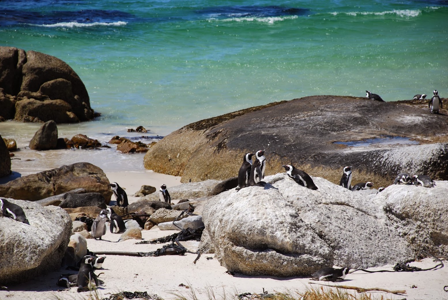Boulders Beach