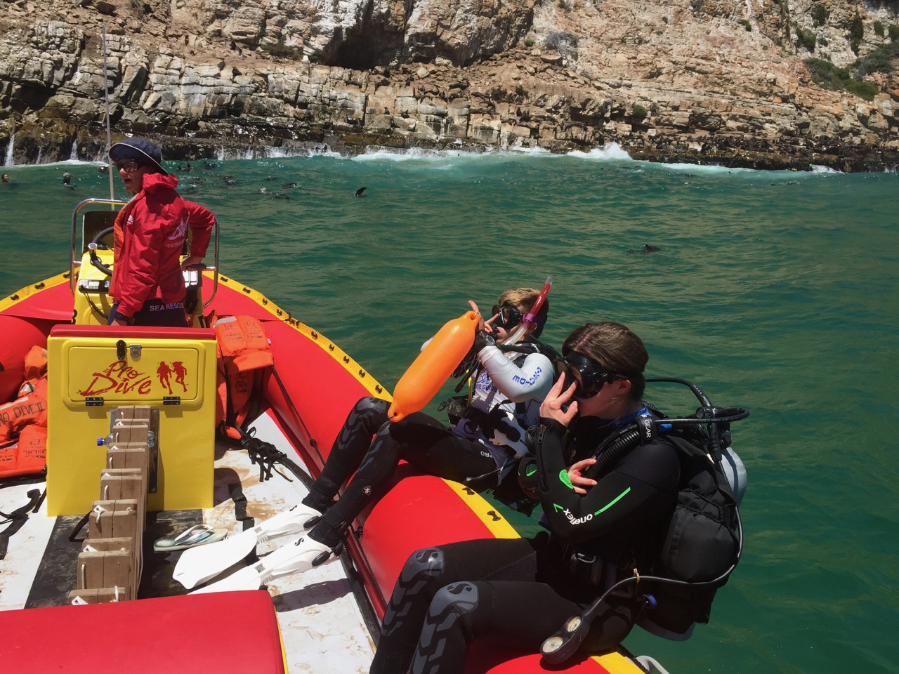 ProDive Plett