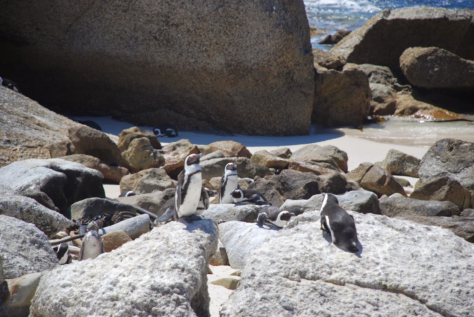 Boulders Beach