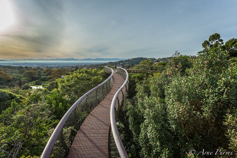 Kirstenbosch Botanical Garden