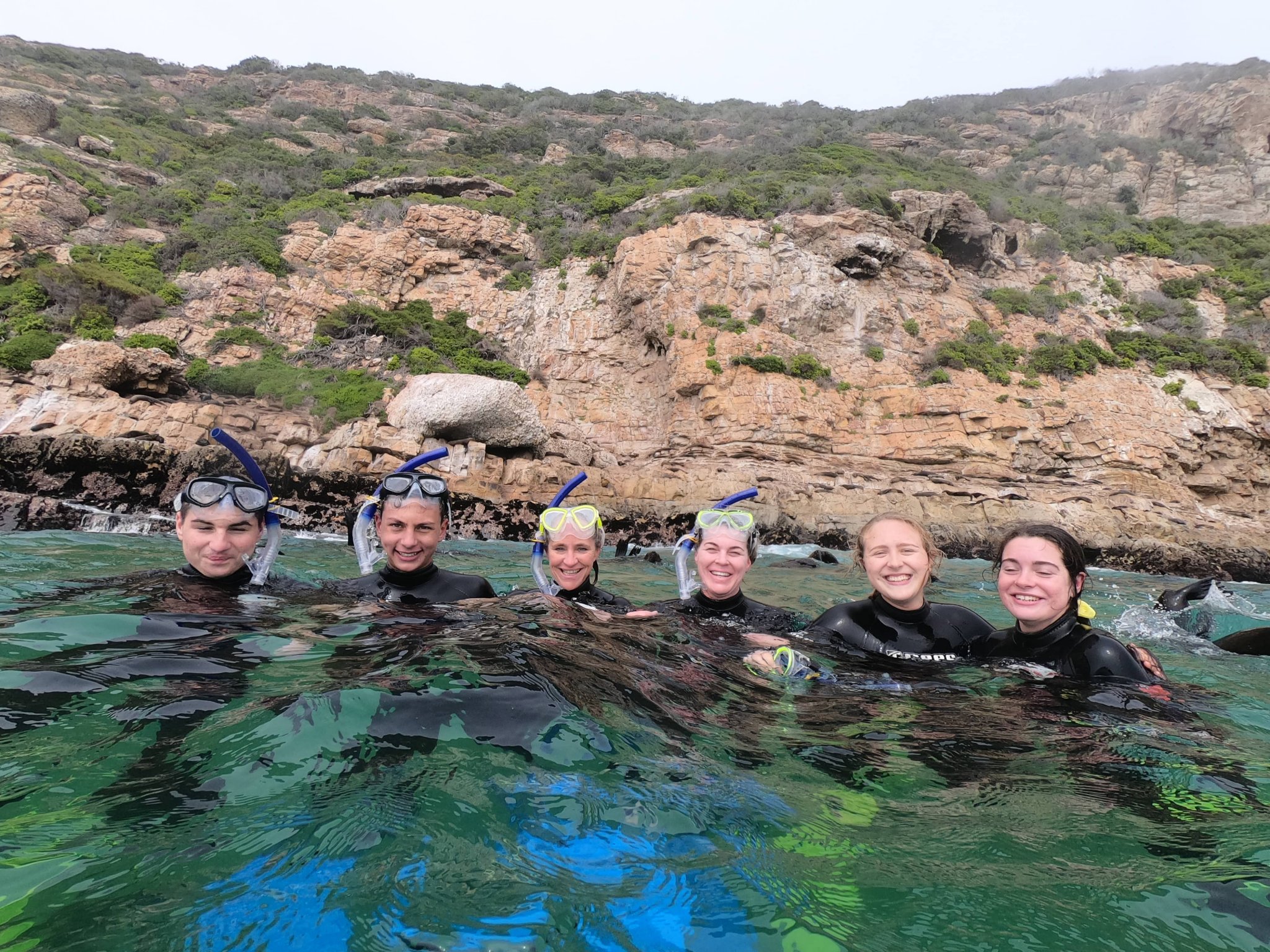 Plett Seal Adventures