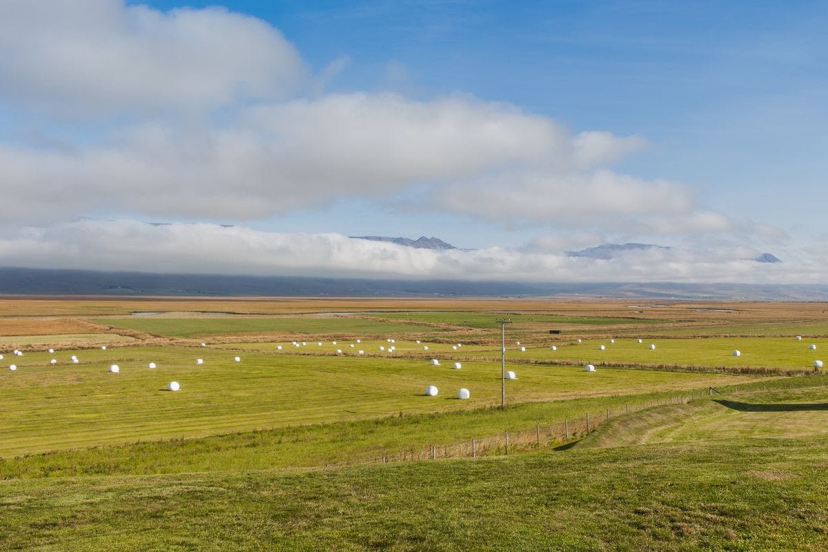 Reitir á meðal stofnaðila að Votlendissjóðnum