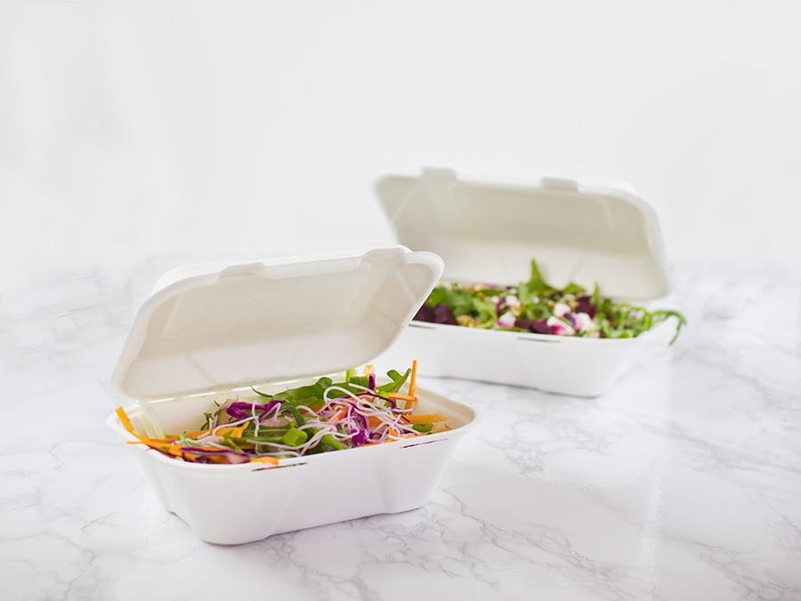 U obalů z papíru, škrobu nebo třtiny spásu nehledejte. Slova jednorázový a ekologický prostě nejdou k sobě