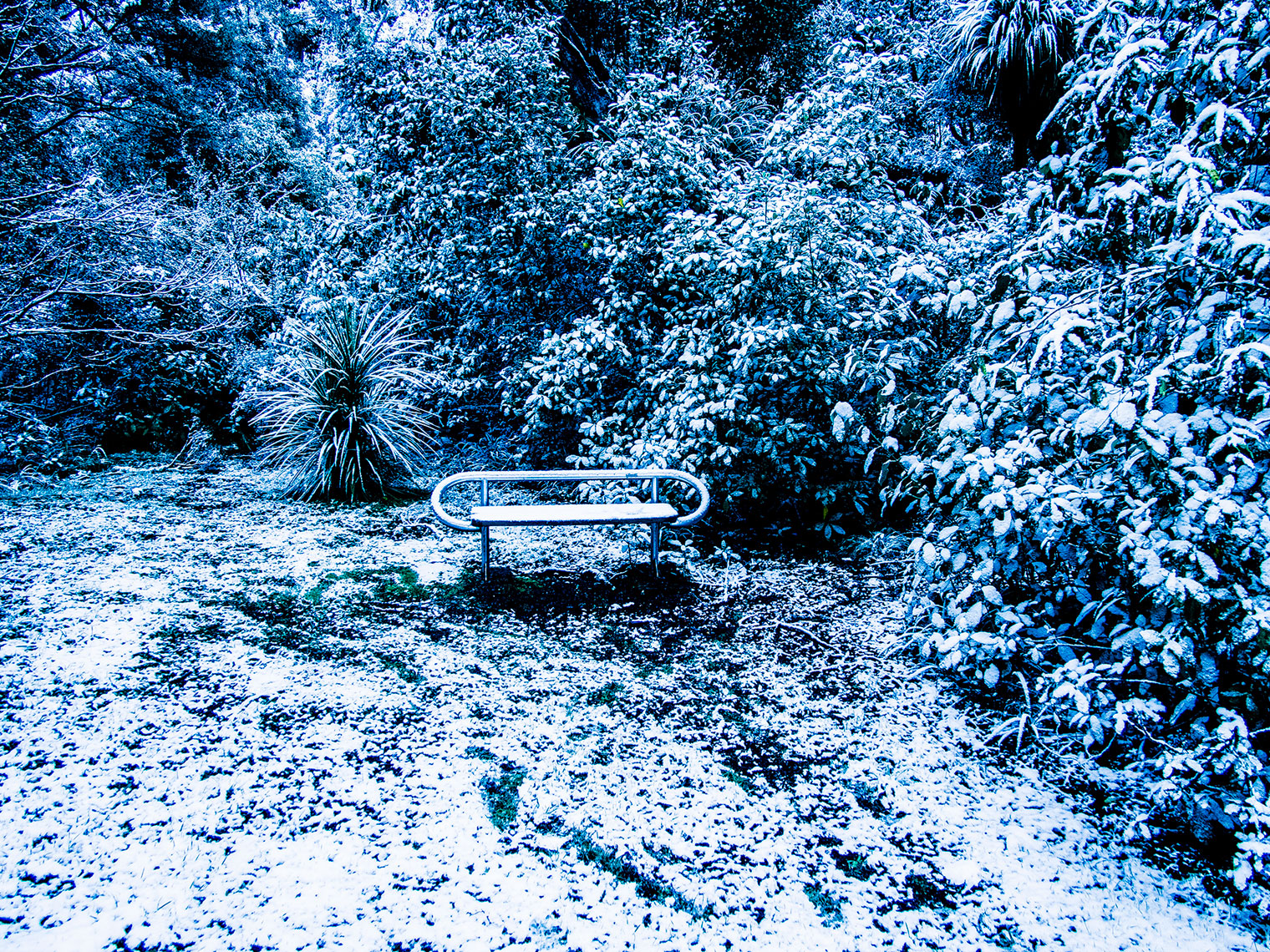 Stephen Langdon | Snow Landscape Series | null