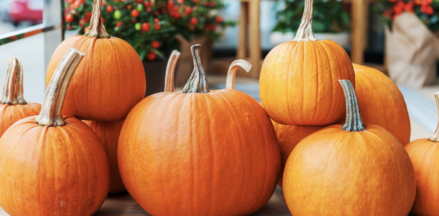 Carve A RE MAX Pumpkin RE MAX NEWS Carve A RE MAX Pumpkin RE MAX NEWS
