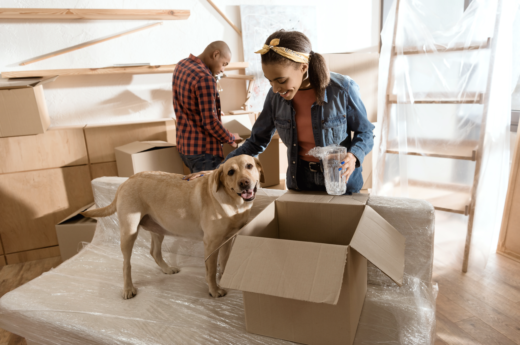 5 Ways to Make Your Pet Dog More Comfortable When Moving RE/MAX NEWS