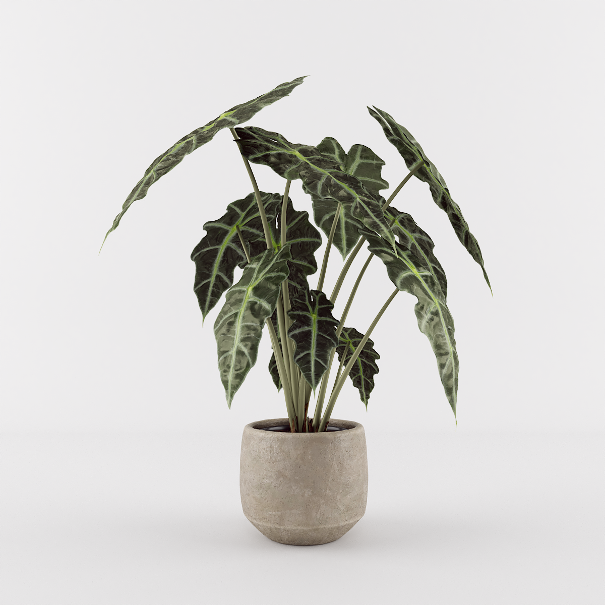 render do recurso 3D