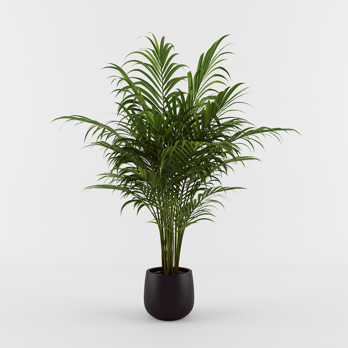 render do recurso 3D