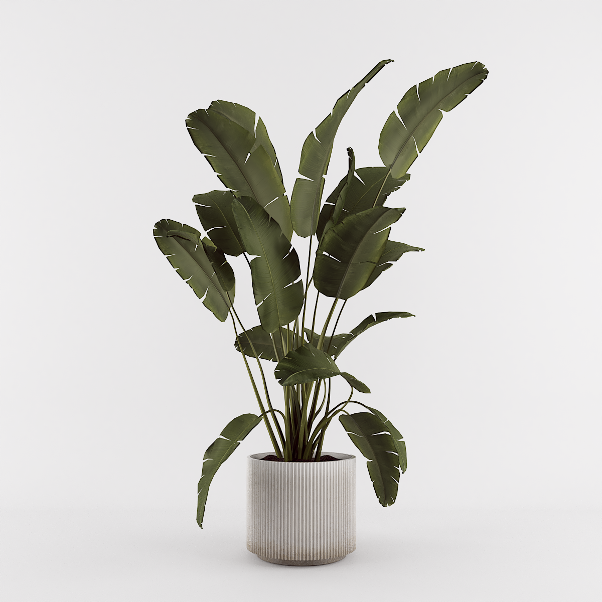 render do recurso 3D