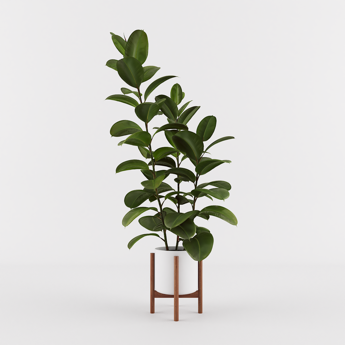 render do recurso 3D