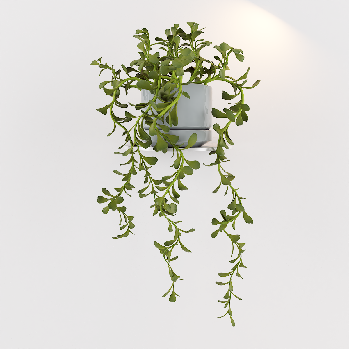 render do recurso 3D