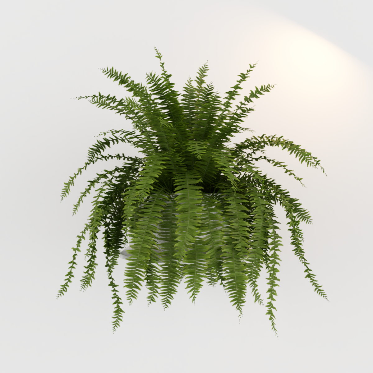 render do recurso 3D