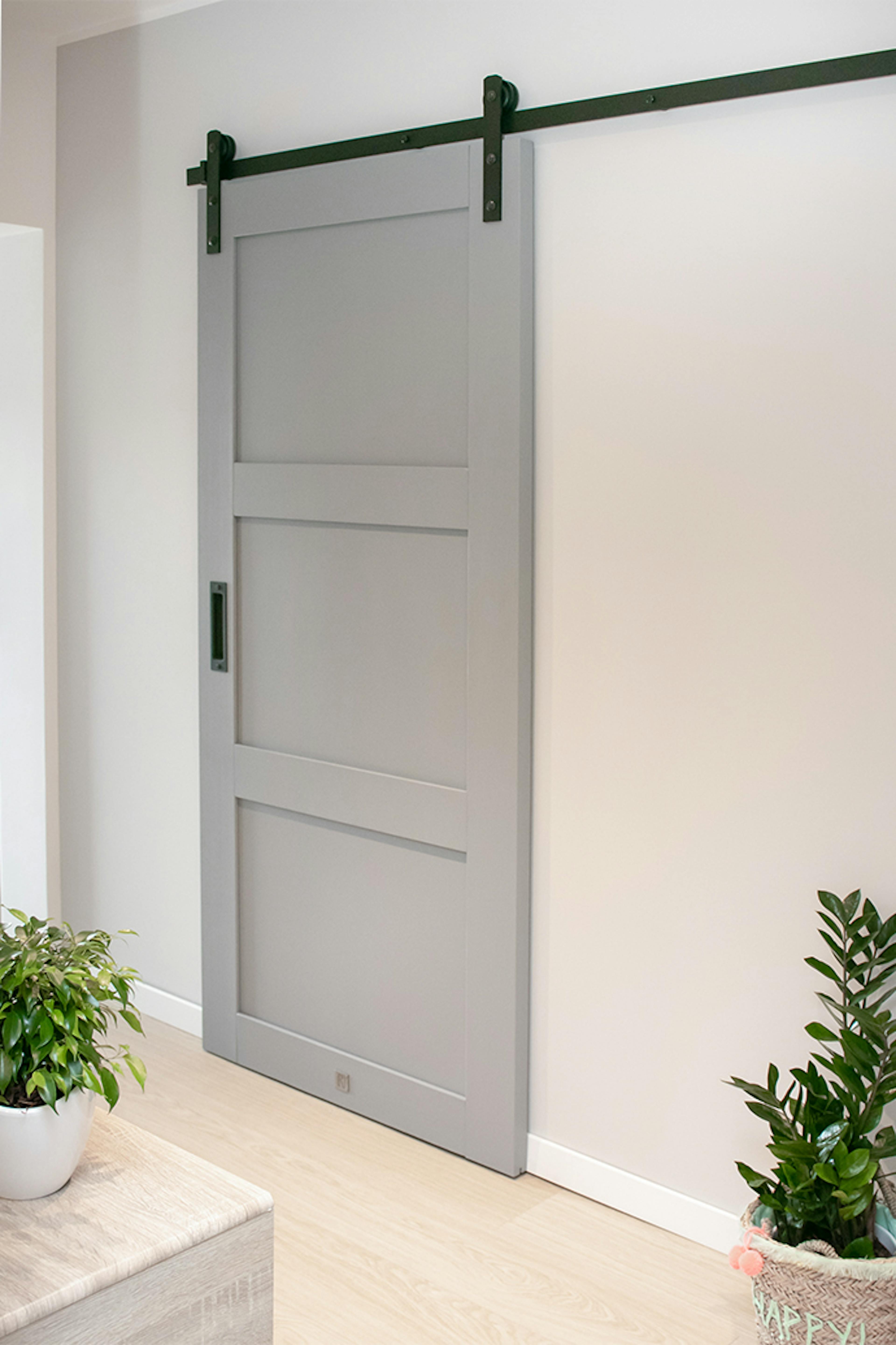 Schiebetür im Wohnblock, Holzschiebetür, Schiebetür für Speisekammer, graue Schiebetür, Schiebetür für Hauswirtschaftsraum, Blumen in der Halle