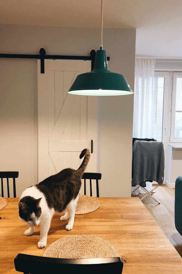 flaschengrün im Innenraum, weiße Schiebetür, industriellem Innenraum, Metallzubehör im Innenraum, Holzschiebetür, grüne Sofa, grüne Hängelampe