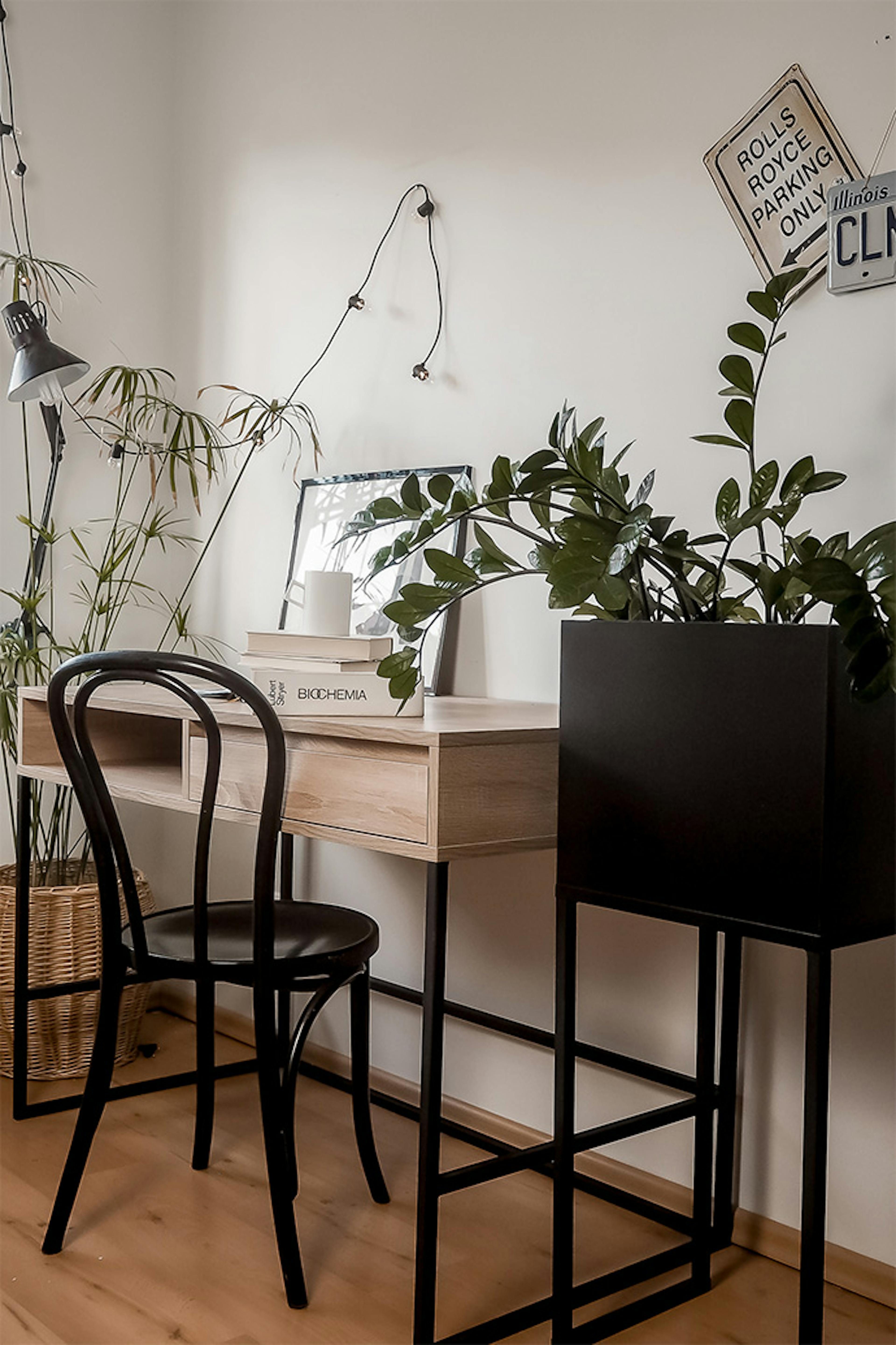 studentenzimmer einrichten, schwarzer Metallständer für Pflanzen, großer Schreibtisch im Loft-Stil, Vintage-Bugholzstuhl, Pflanzen im Studentenzimmer, Studentenzimmer im Loft-Stil