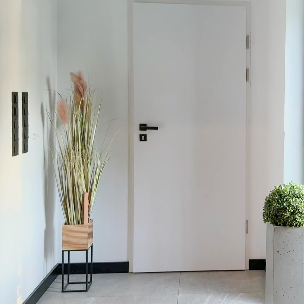 Wnętrze wiatrołapu z nowoczesnymi dekoracjami. Obok białych drzwi z czarną klamką stoi wysoka, dekoracyjna roślina w drewnianej donicy.