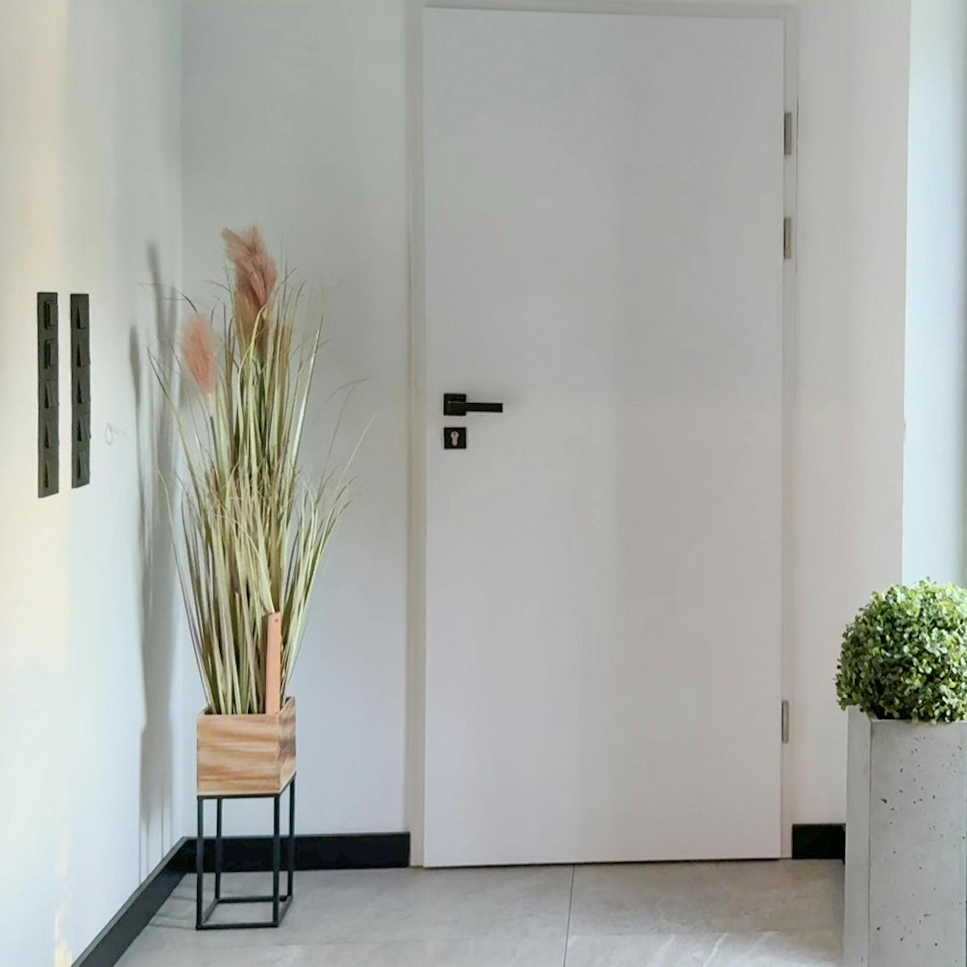 Der Innenraum des Windfangs ist modern dekoriert. Neben der weißen Tür mit schwarzem Griff steht eine hohe, dekorative Pflanze in einem Holztopf.