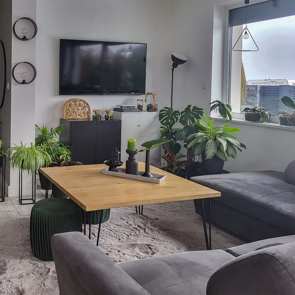 szara sofa, loftowy stolik kawowy z drewnianym blatem, duże rośliny doniczkowe w pokoju dziennym