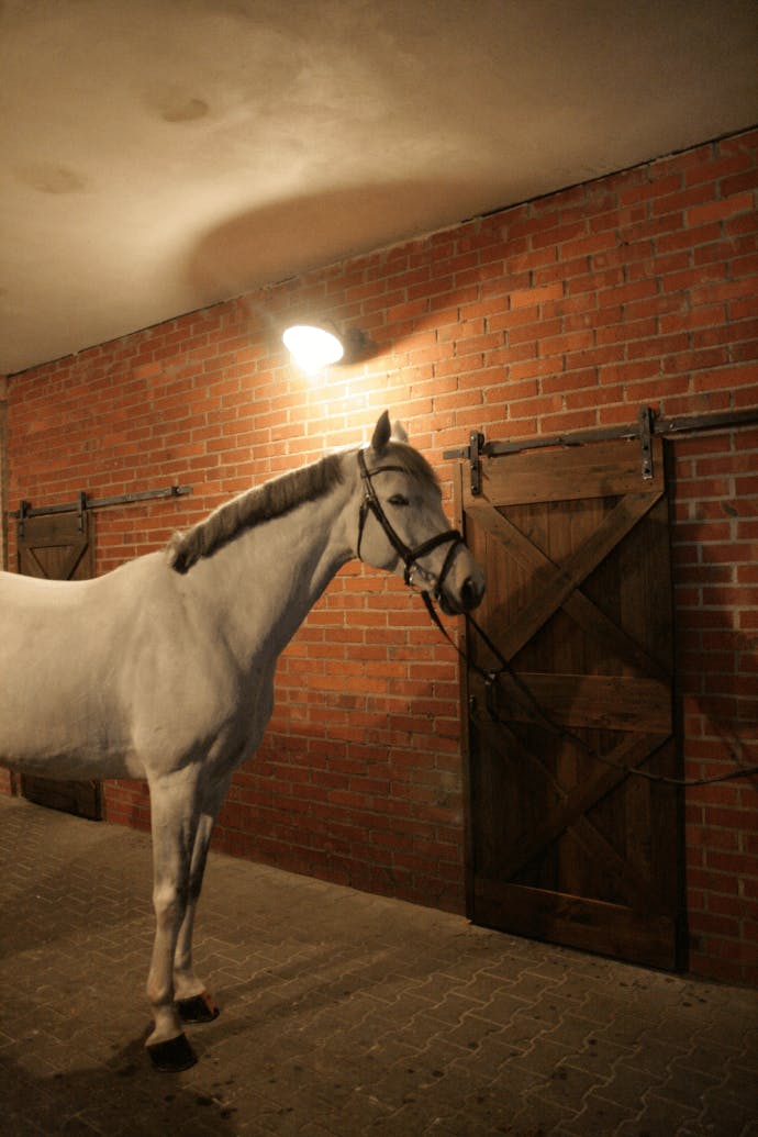 barn door-stil Schiebetüren, Schiebetür im Stallungen, Holztür, Massivholztür, Türen aus Kiefer, Schiebesystem im rustikalen Stil, rustikale Schiebetür