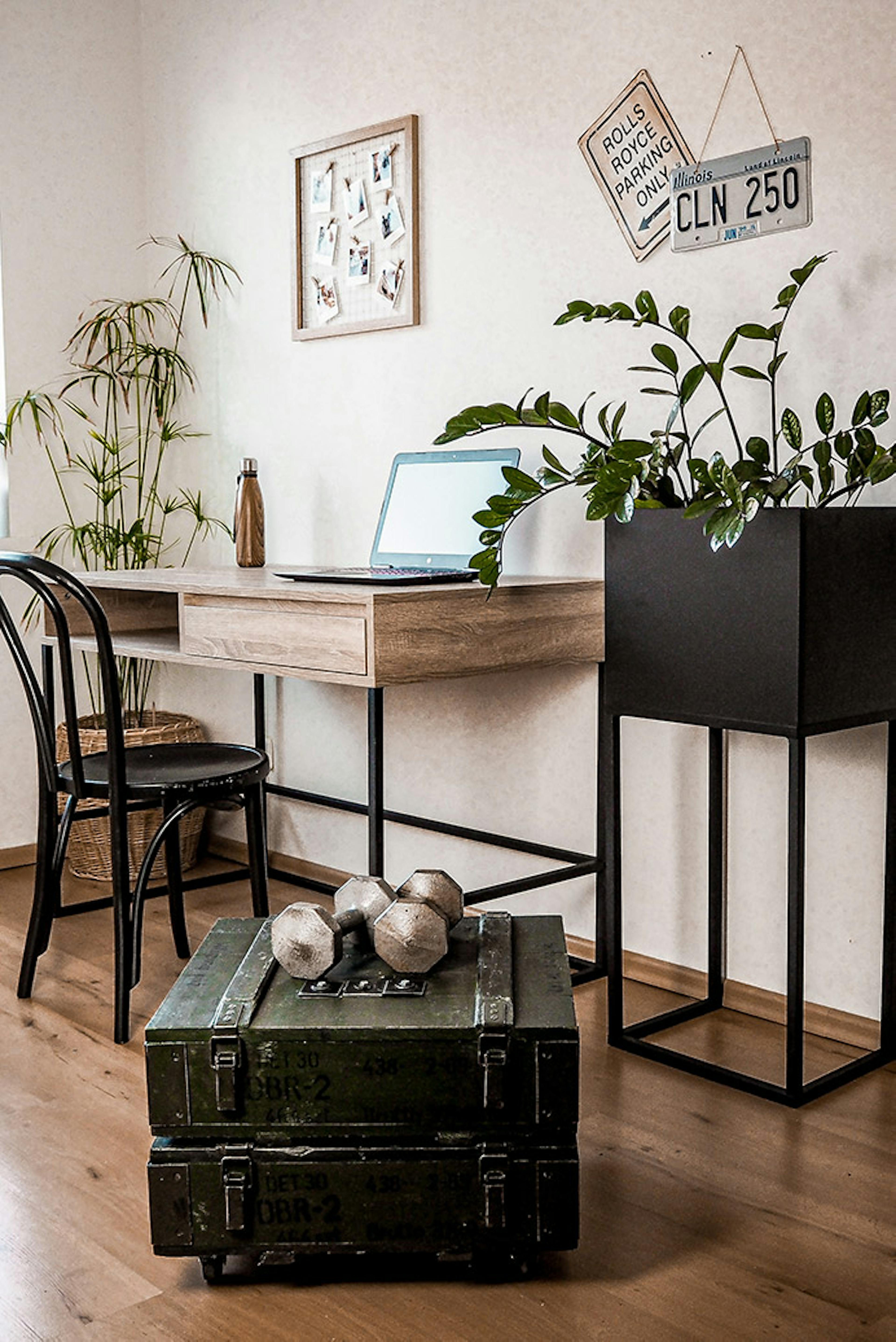 studentenzimmer einrichten, großer Schreibtisch im Loft Stil, Schreibtisch aus Metall und Holz im Studentenzimmer, großer Metallständer für Pflanzen, schwarzer Bugholzstuhl, antike Militärkisten als Raumdekoration
