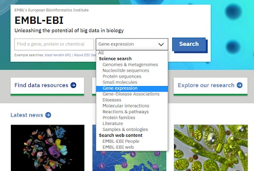 Using Online Databases For Research Research Square Using Online Databases For Research Research Square