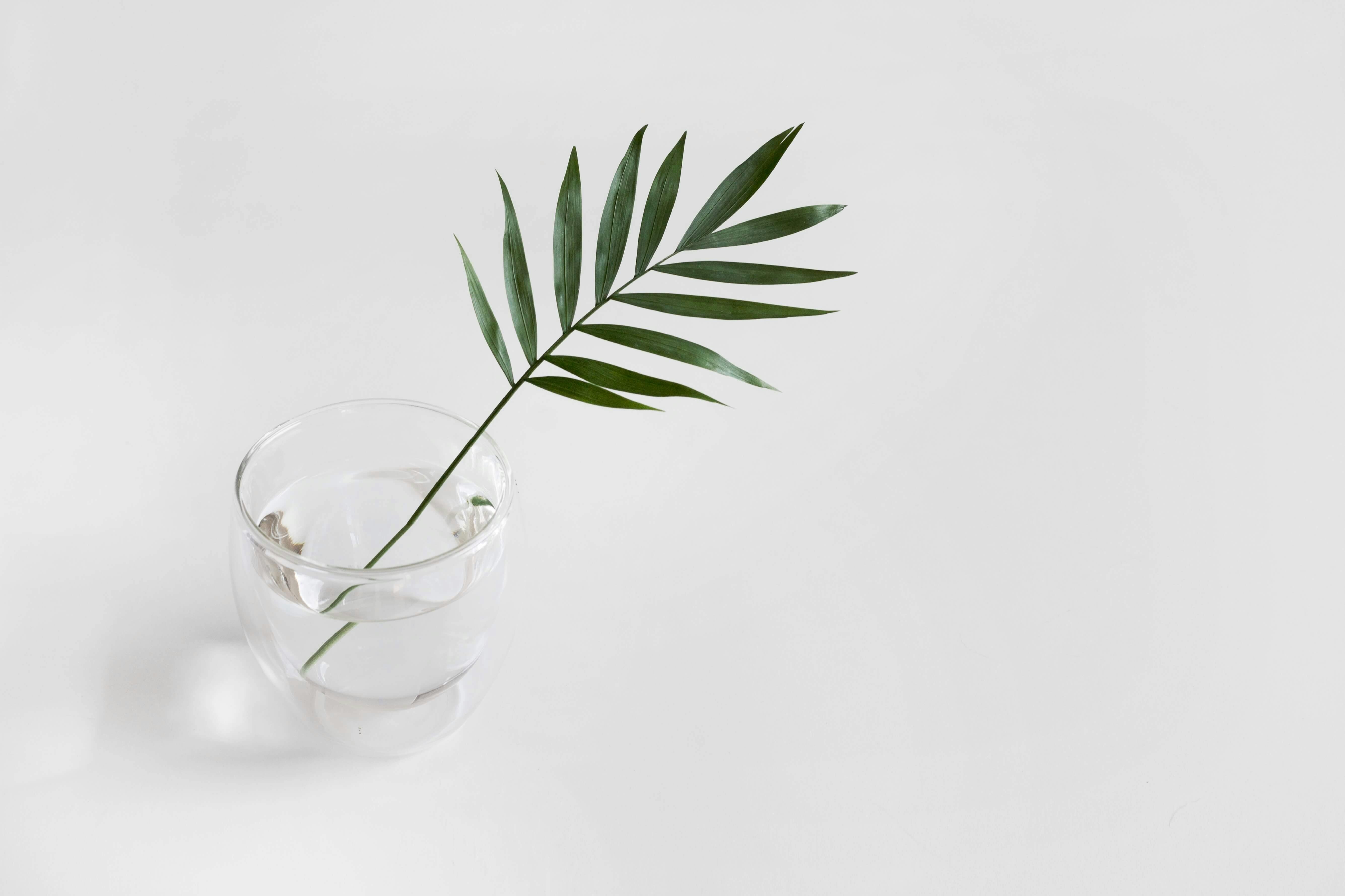 222511343610bfc4daa06e87d7ed8b03b78eed53 invest ethically header image