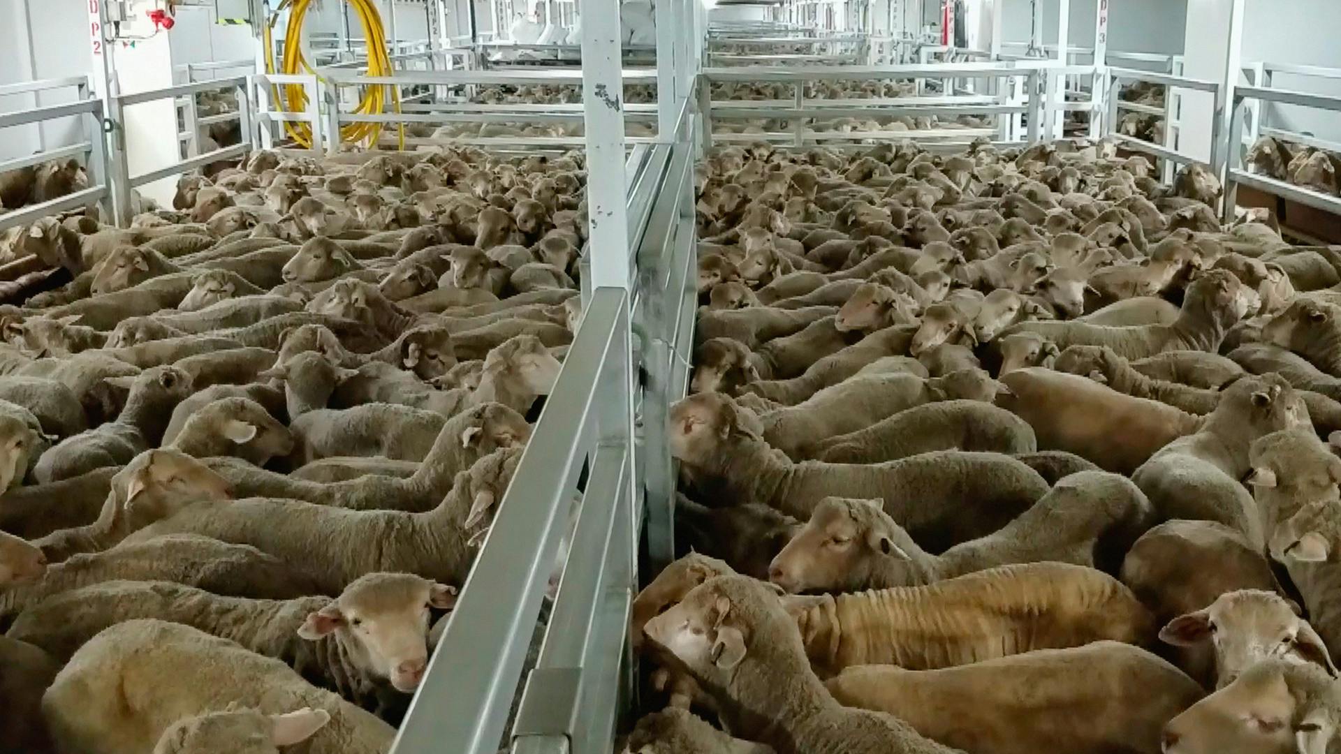 9f2d64ab44921187474a5af05816f67d0a59849f 23942 liveexport onboard 2018 11