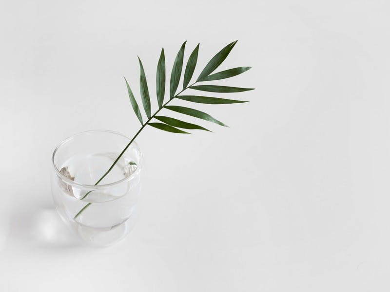 Want to invest ethically? Questions to ask your financial adviser