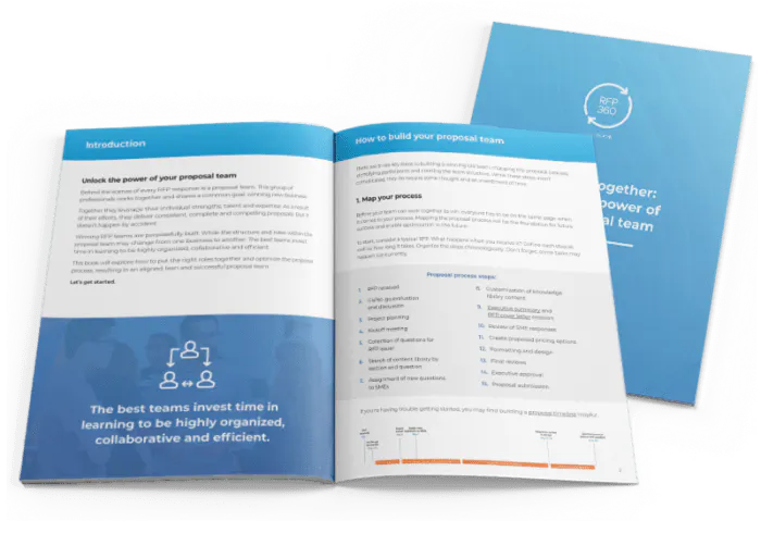 RFP process guide cover