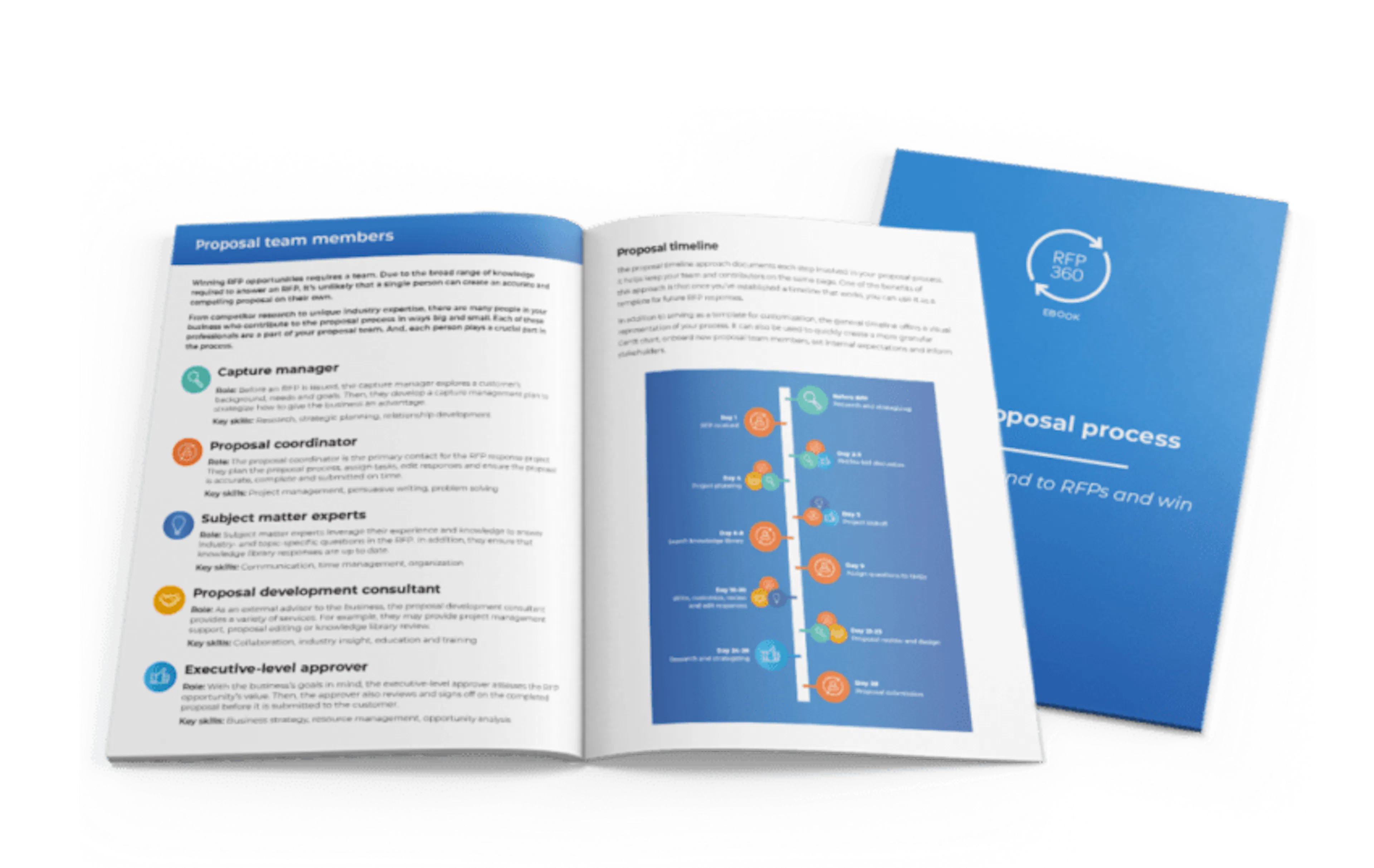 Proposal Process ebook preview of cover and inside of book