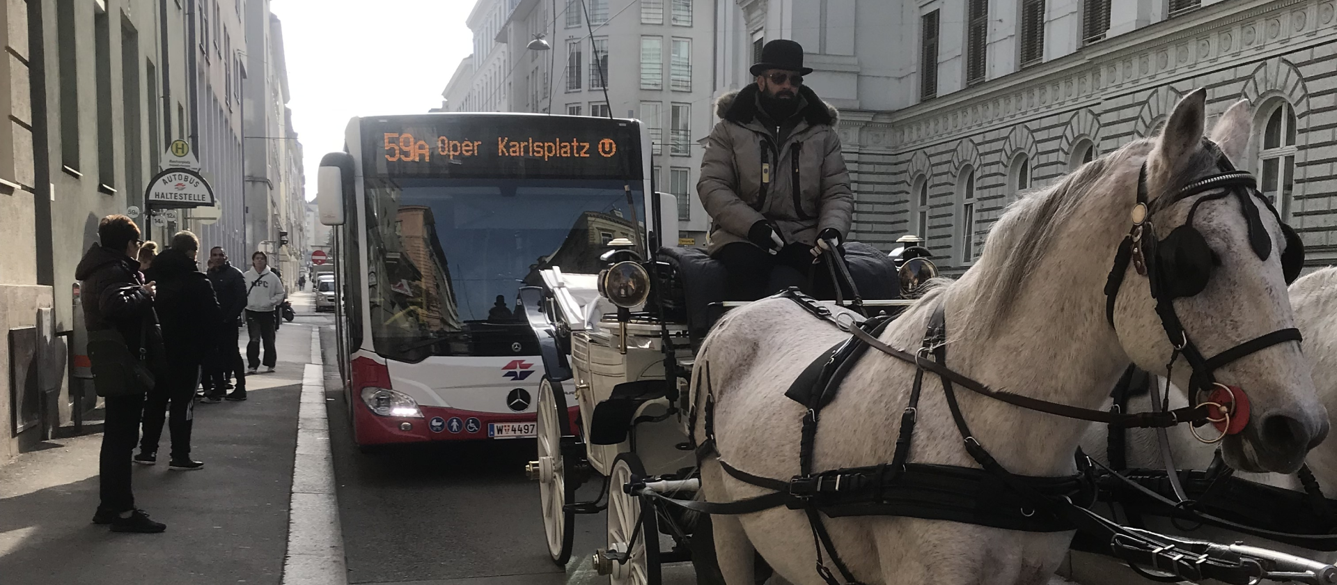 Bus 59a has to wait for empty horse carriage.