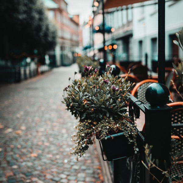 Изображение Развитие ресторана в летний период