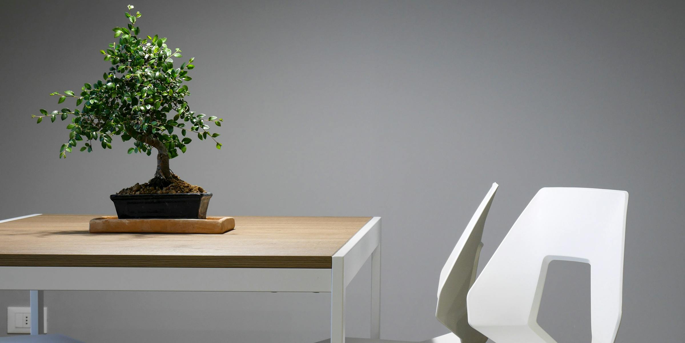 Изображение Важность выбора сыра для фастфуда