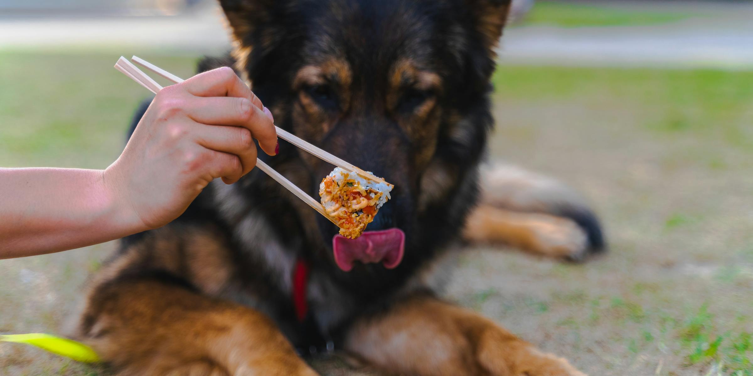 Изображение Запускаем виртуальный бренд