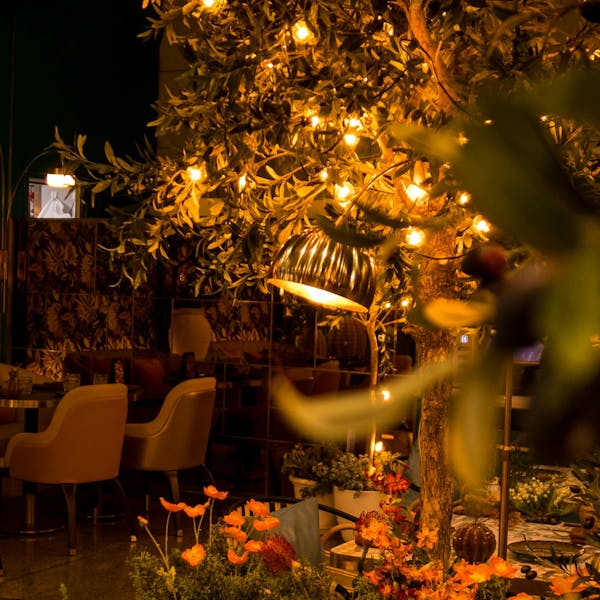 Изображение Как пережить спад спроса для кафе с летними верандами