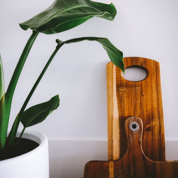 Изображение Как монетизировать личный бренд?