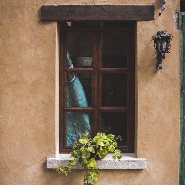 Изображение Додо пицца & Где шаверма