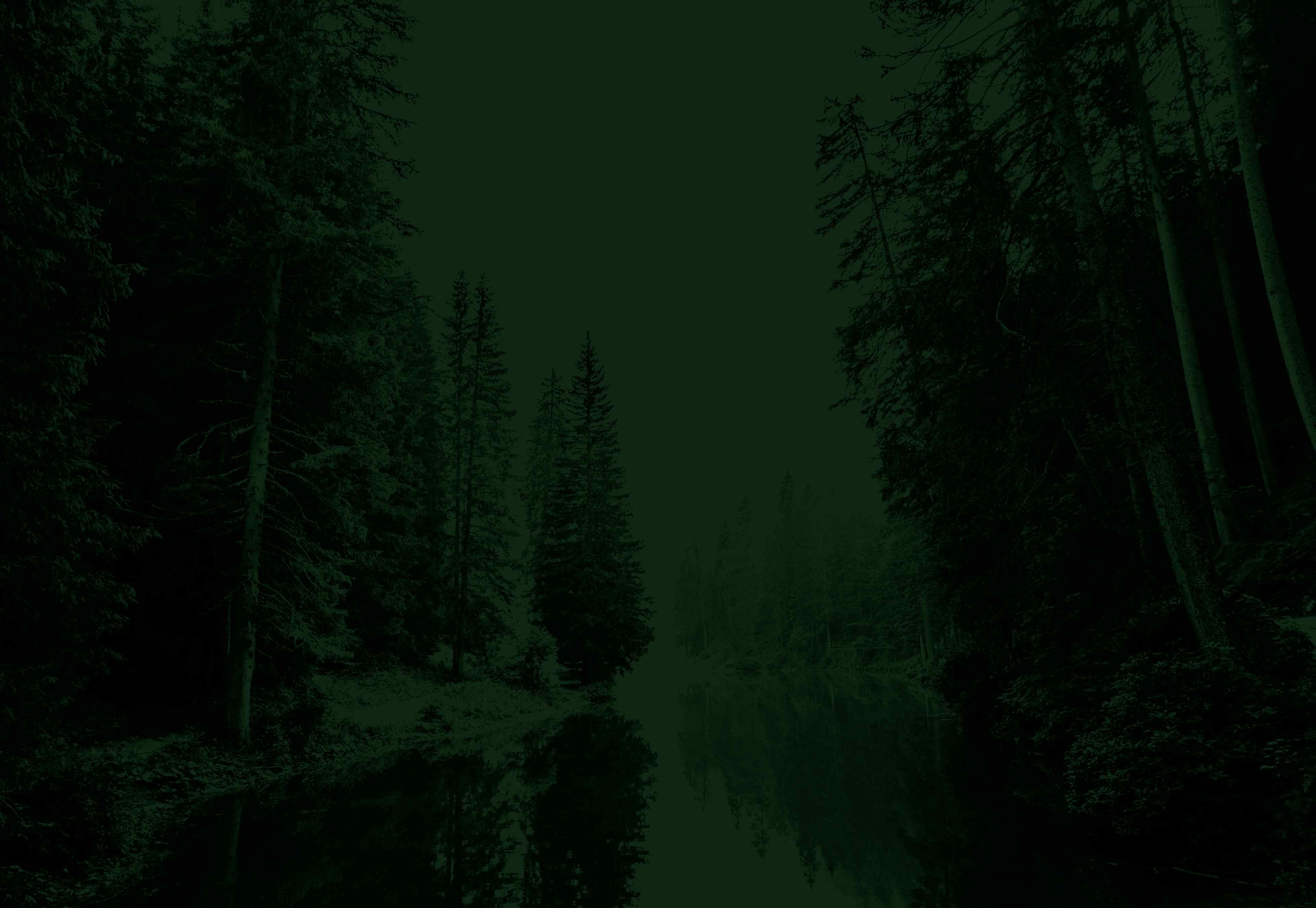 Forest with cloudy sky and pristine river