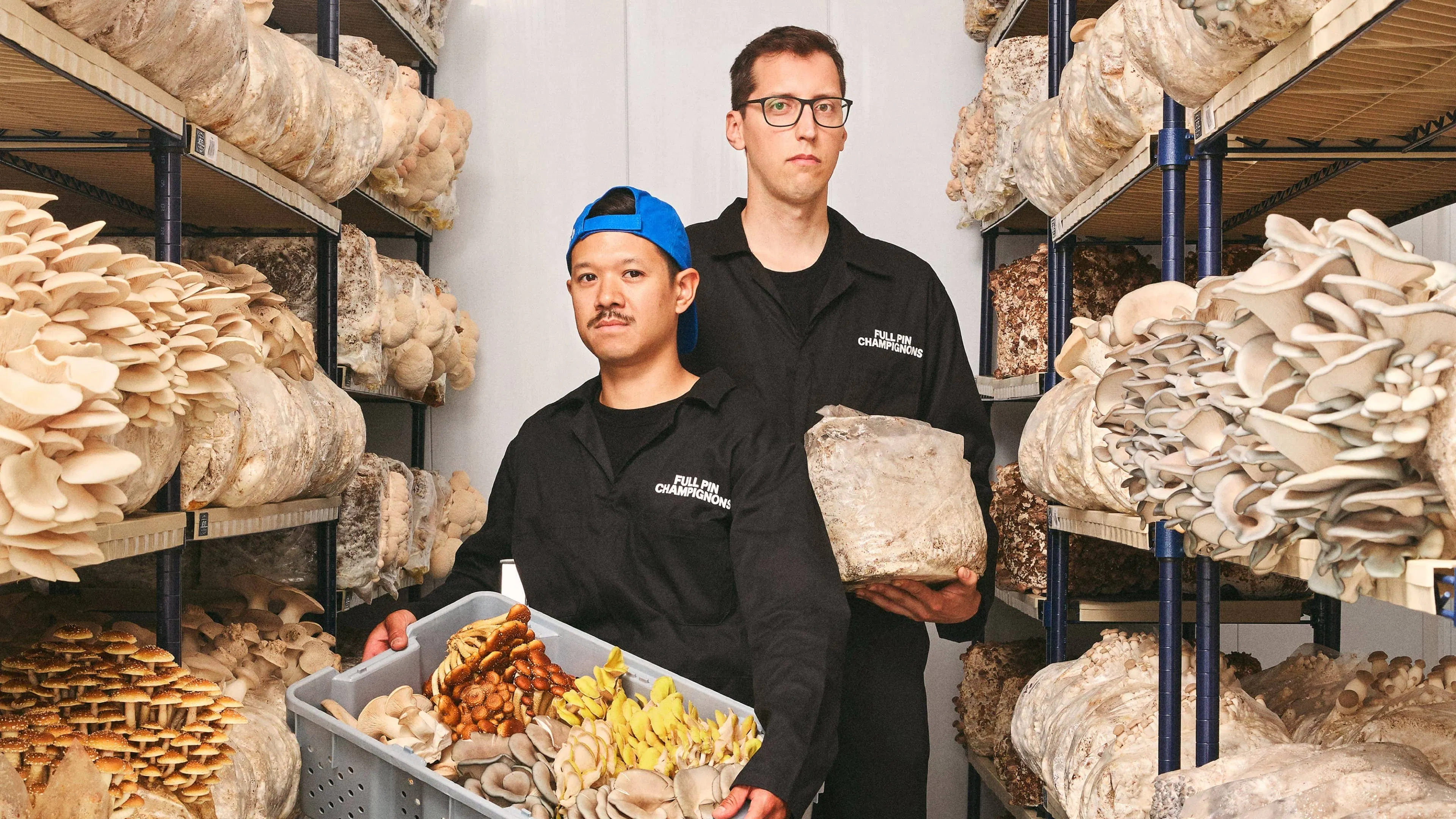 Two people in a mushroom farm, holding a crate of assorted mushrooms and a bag of substrate. Shelves filled with mushroom blocks surround them.