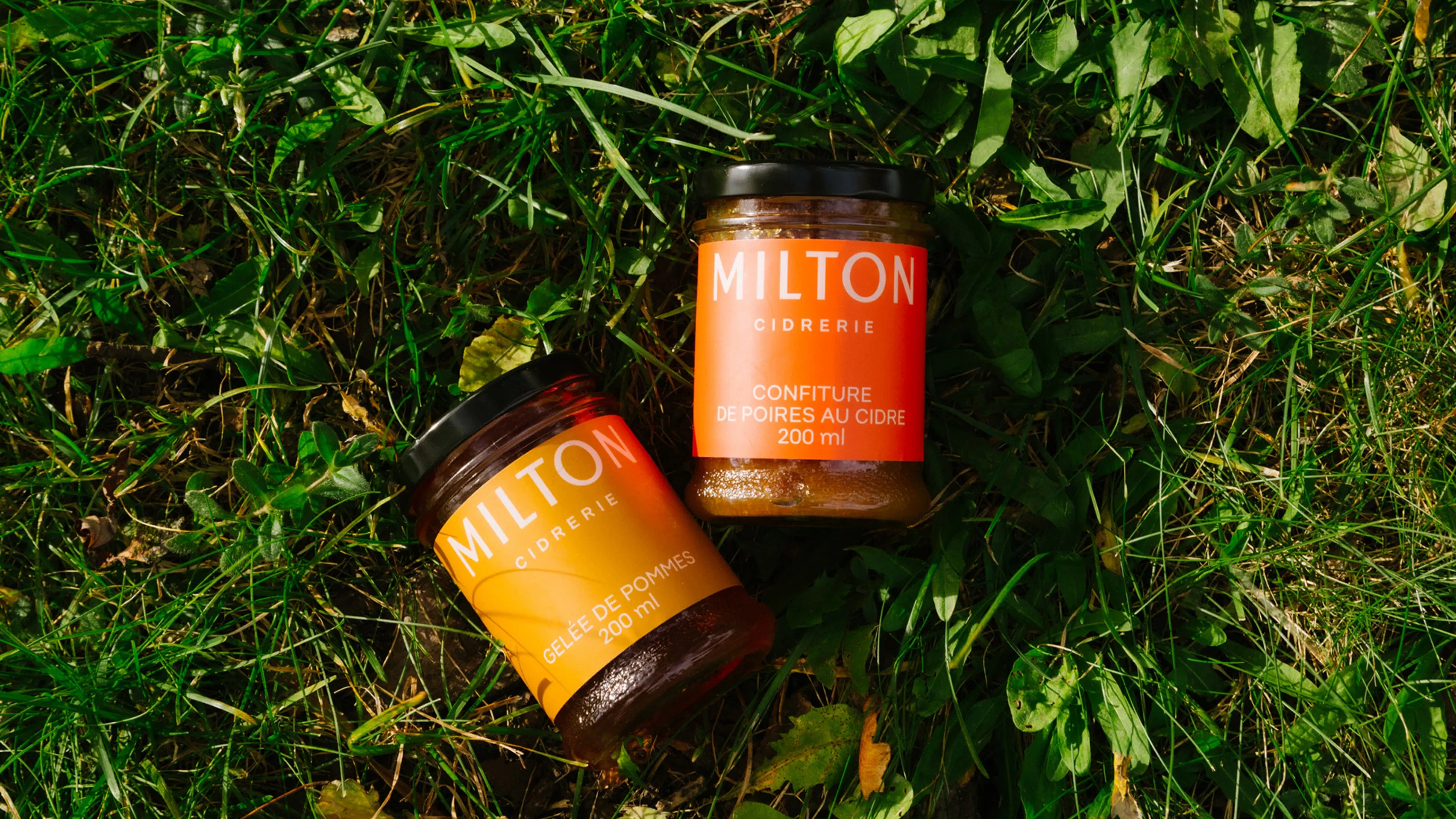 Two jars labeled "Milton Cidrerie" with orange and red labels lie on green grass. The left jar is tilted.