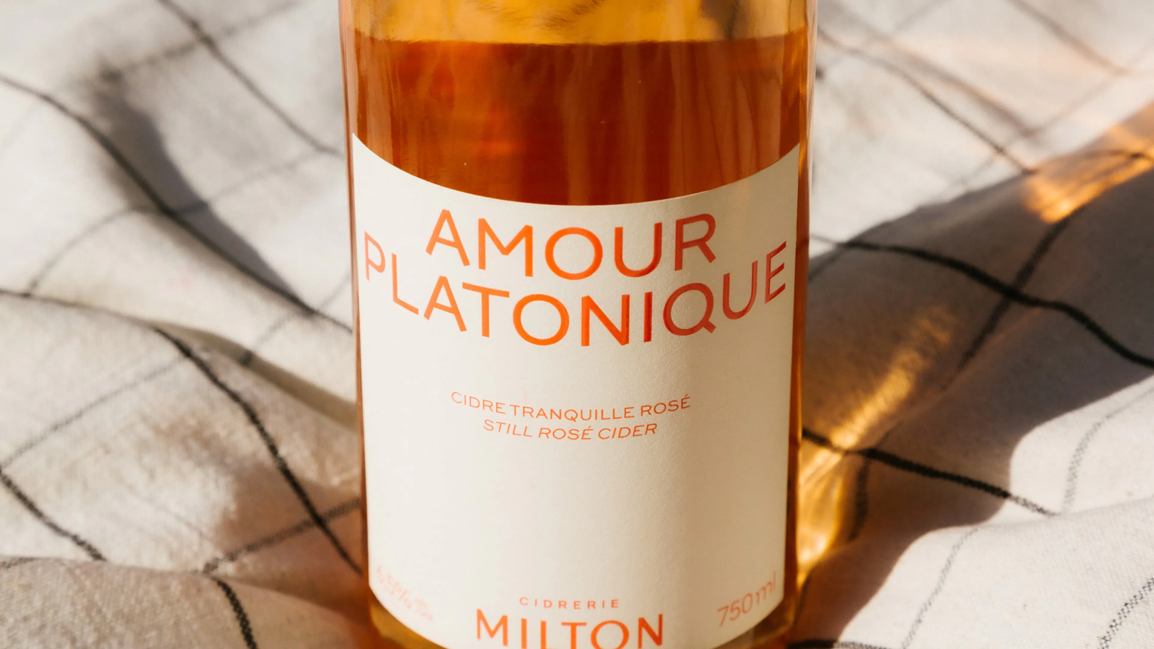 A bottle of Amour Platonique still rosé cider rests on a sunlit, patterned fabric. The label is minimalistic with red text.