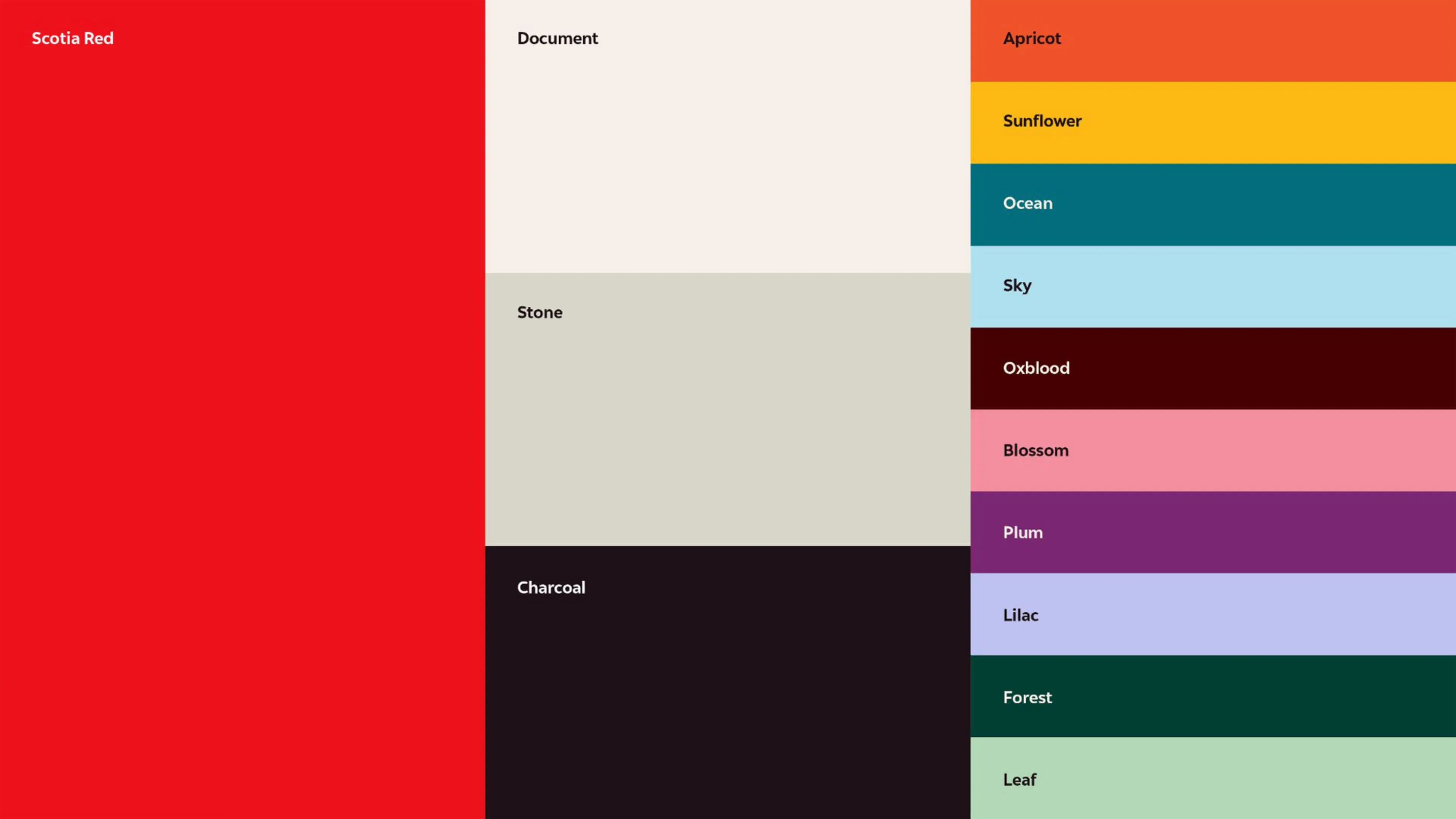 Color palette featuring "Scotia Red" as a large red block on the left. Right side has smaller blocks: Document (cream), Stone (gray), Charcoal (black), Apricot, Sunflower, Ocean, Sky, Oxblood, Blossom, Plum, Lilac, Forest, and Leaf.