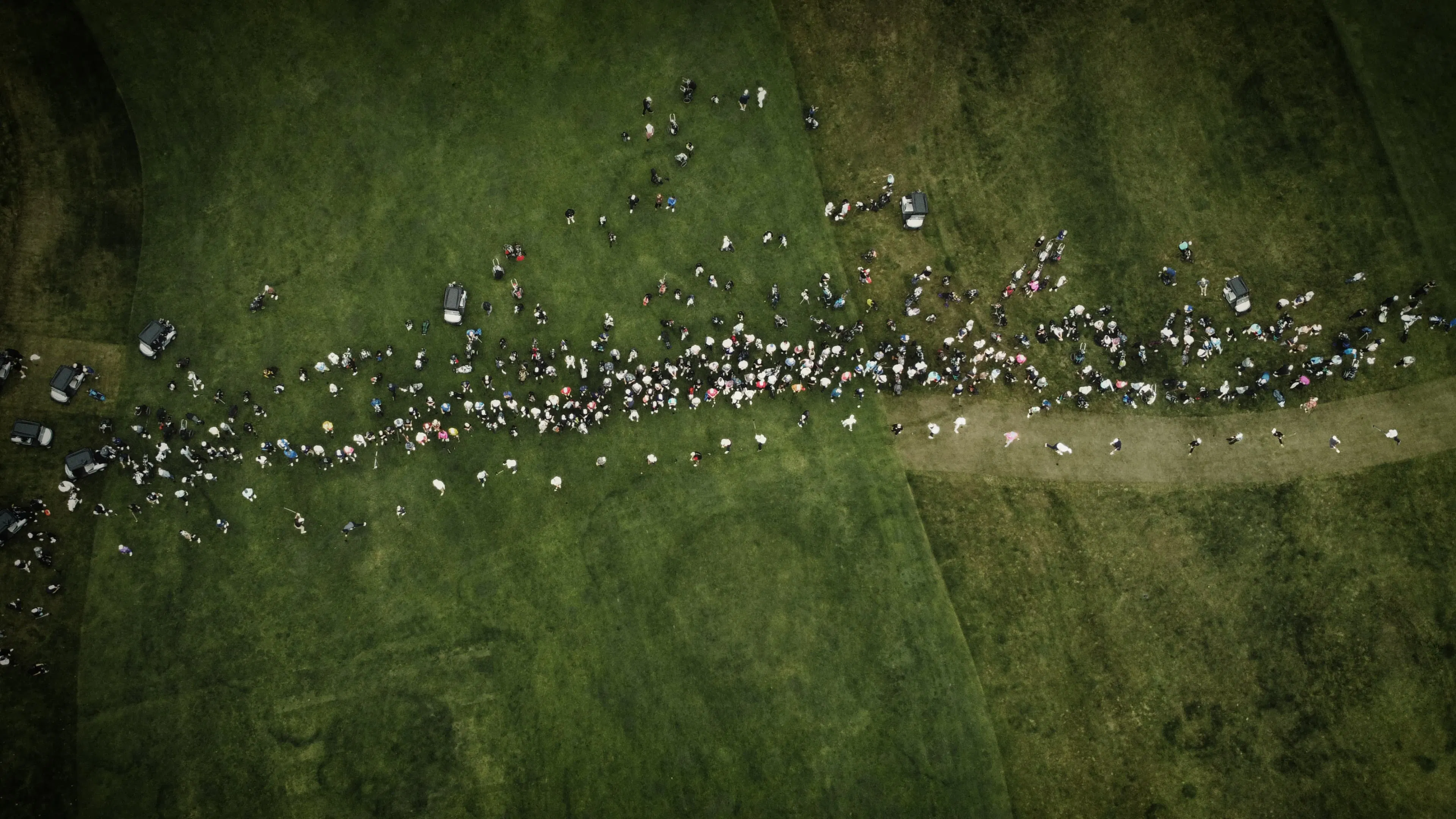 Aerial view of a large crowd walking across a grassy field with scattered trees and pathways. The scene conveys a sense of movement and gathering.