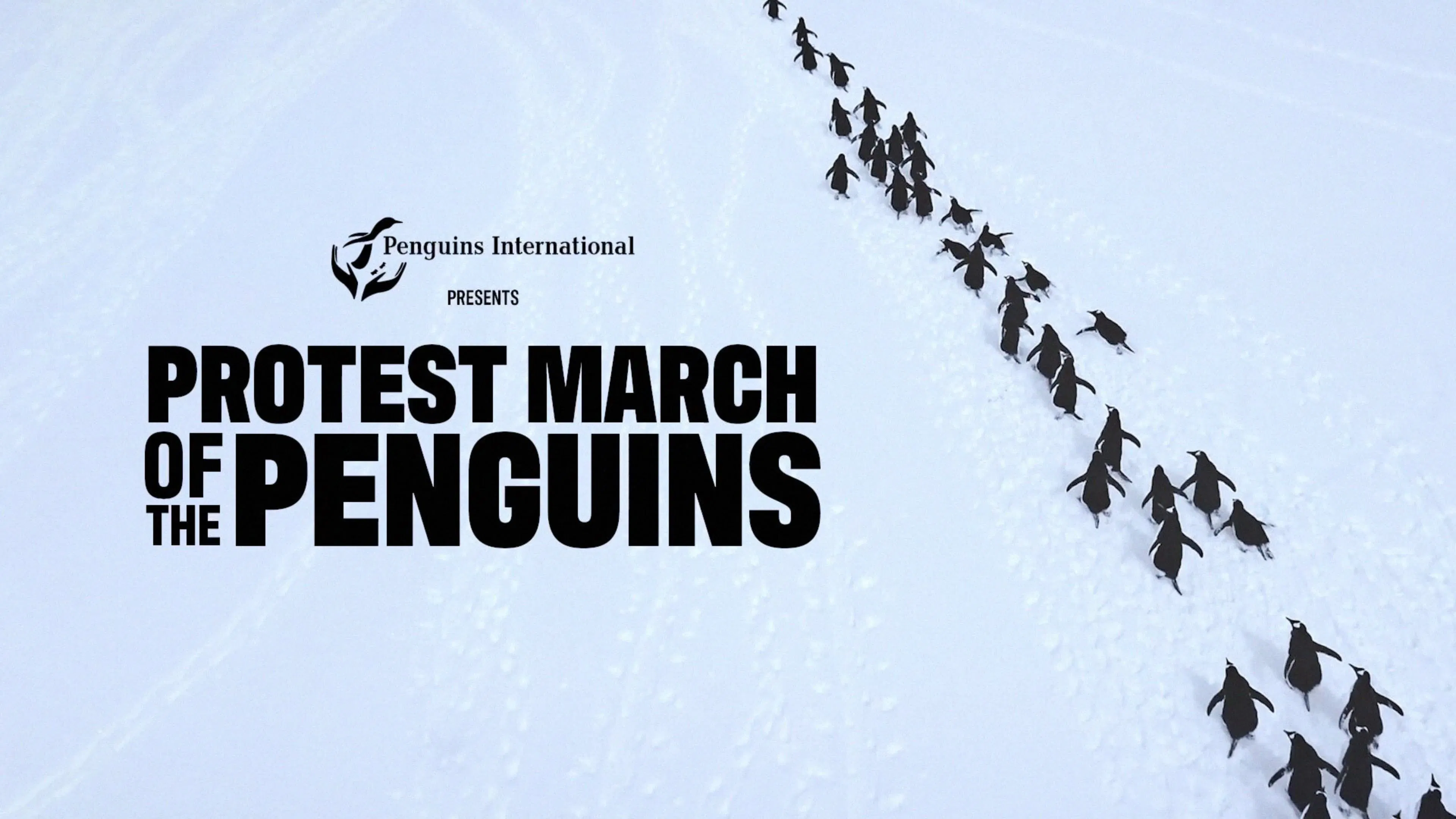 A snowy scene in Antarctica shows a diagonal line of penguins marching. Bold text reads "Protest March of the Penguins" with the Penguins International logo.