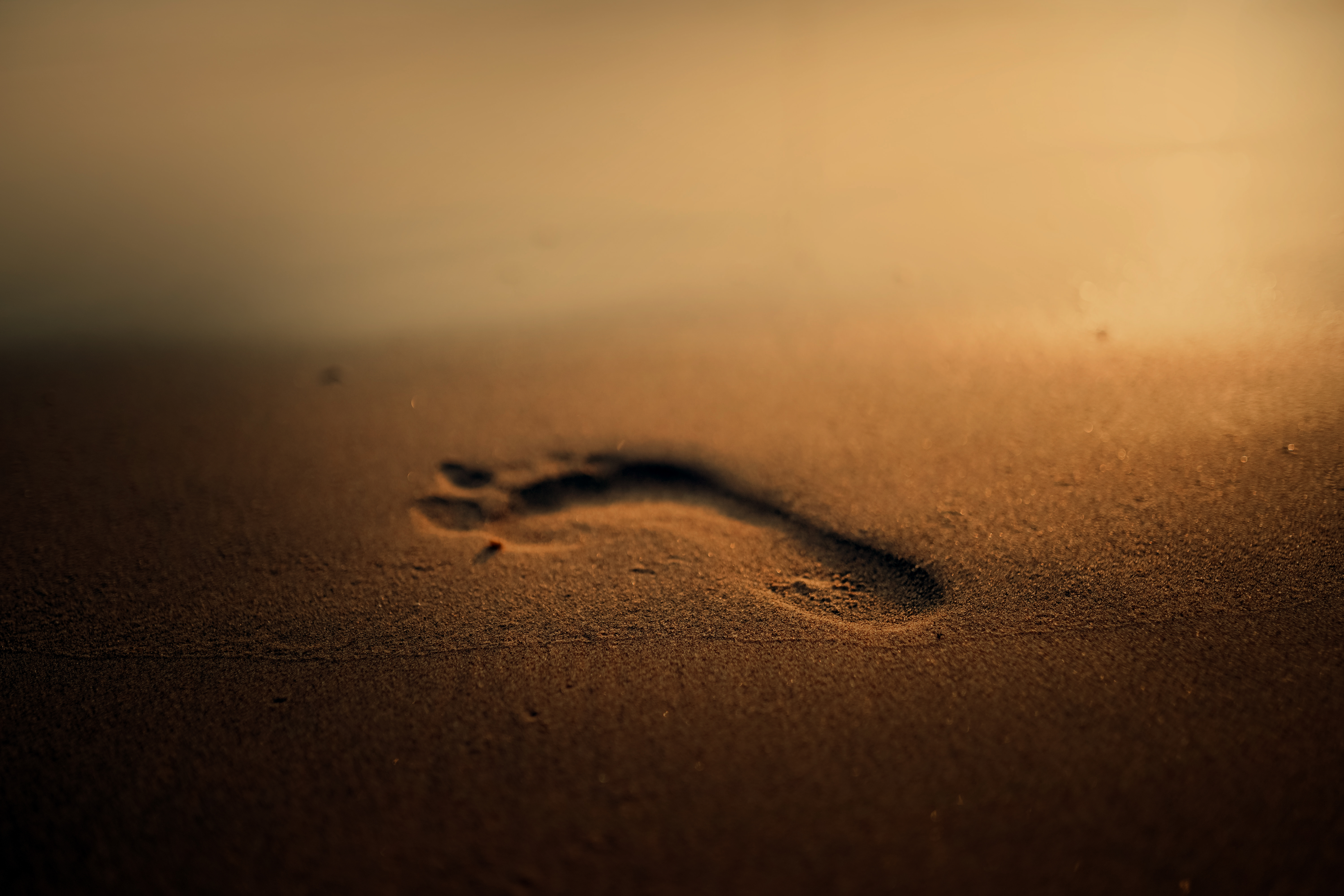 Nahaufnahme von einem Fußabdruck in nassem Sand.