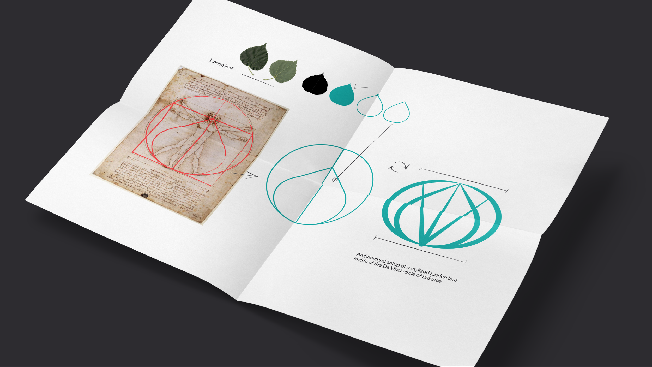 Art Direction für Lindaren.